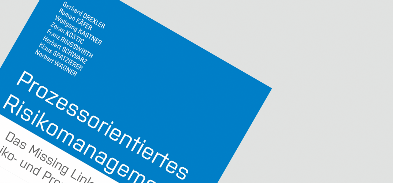 Prozessorientiertes Risikomanagement