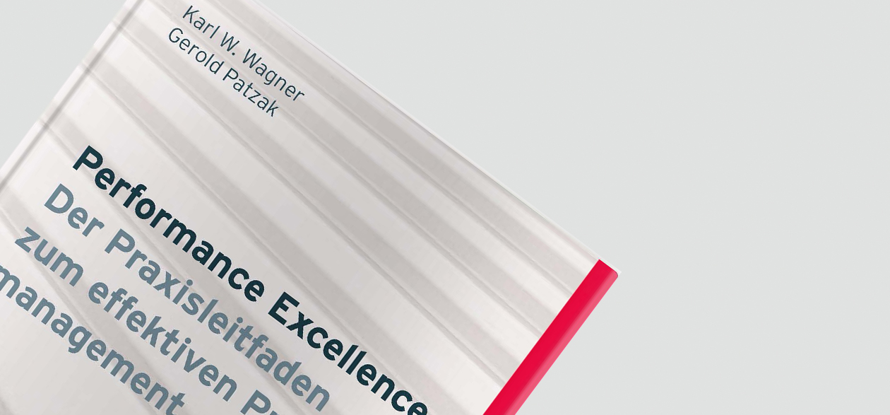 Perfornance Excellence Buch